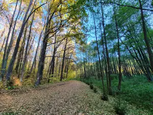 Dzherelo Vakalivsʹke