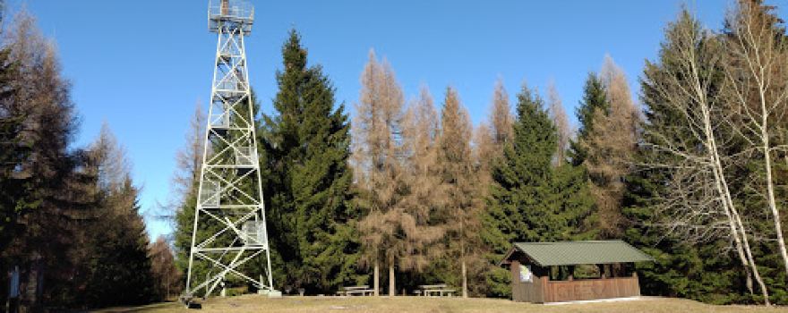 Wilhelm-Raabe-Turm