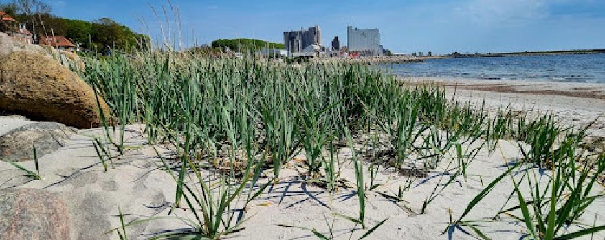 Strandhoved Strand
