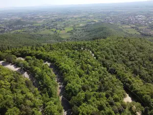 Lignano Park - Rigutinelli