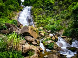 Tat Ma Waterfall