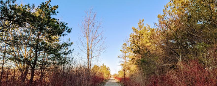 Perth Harvest Pathway Milverton- G2G Rail Trail
