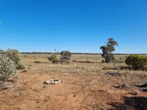 Newman's Rocks Campsite