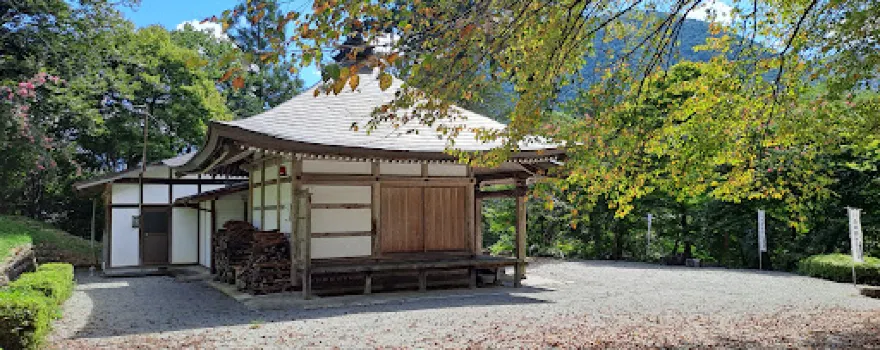 Iwataro Weeping Cherry Tree