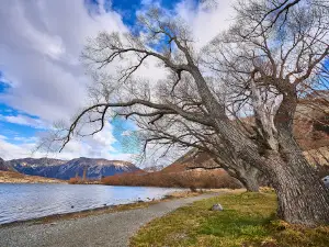 Lake Pearson (Moana Rua) Campsite