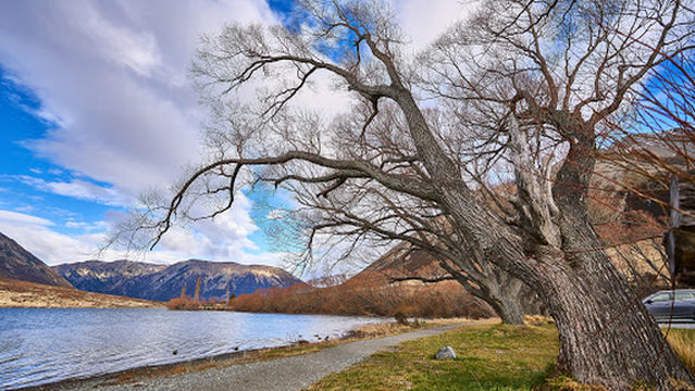 Lake Pearson (Moana Rua) Campsite