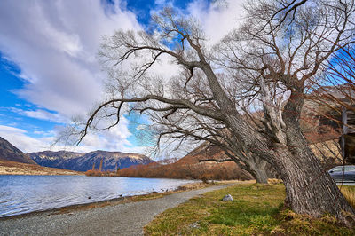 Lake Pearson (Moana Rua) Campsite