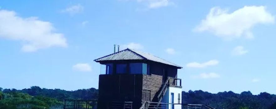 Oceanía del Polonio Beach