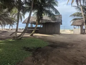 Organic Beach Resort