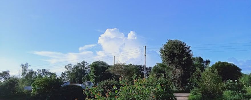Bagheswar Park Siwni