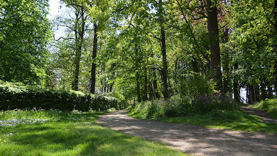 Park Mariënstede