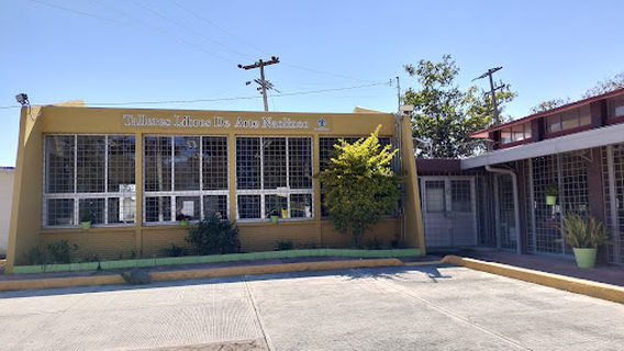 Talleres Libres de Arte Naolinco