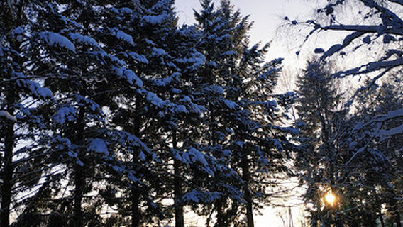 Stadion Im. Ye.i. Kholodkova