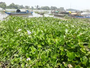 Binh Di River