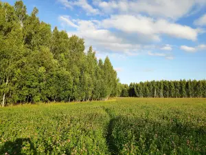 "My village" eco-park