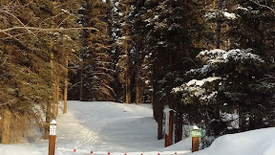 River Walk Park Trail