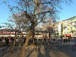 Lale Parkı