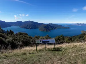 Eatwells Lookout
