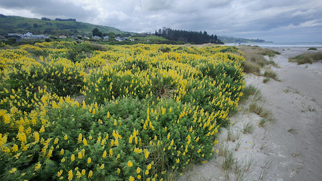 Warrington Domain Freedom Camping
