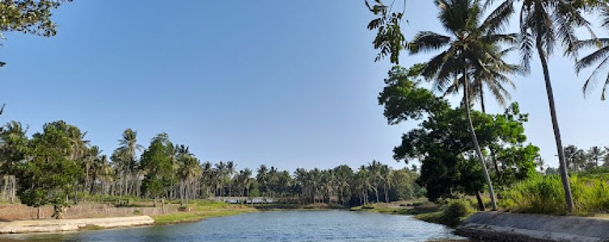 Embung Pekon Pandansari