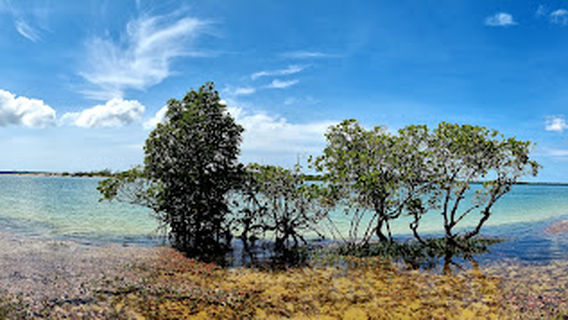 Daliwuy Bay (Binydjarrnga)