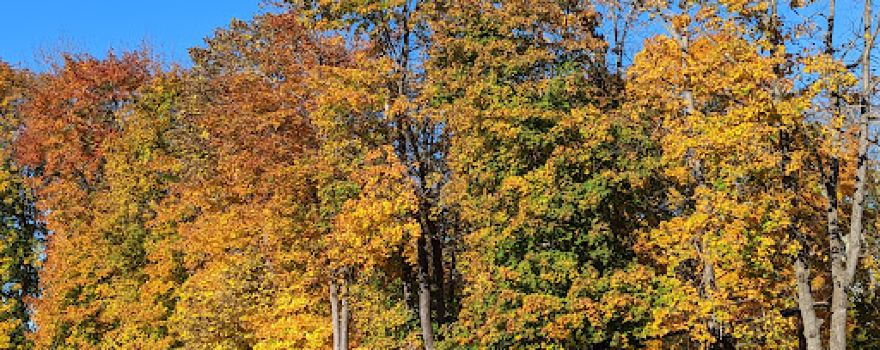 Dutcher Golf Course