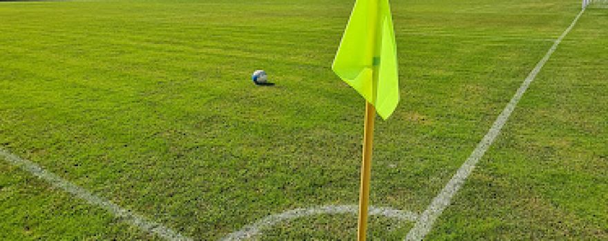 Associazione Sportiva Calcio Arcetana