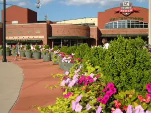 Dayton Dragons Professional Baseball Team
