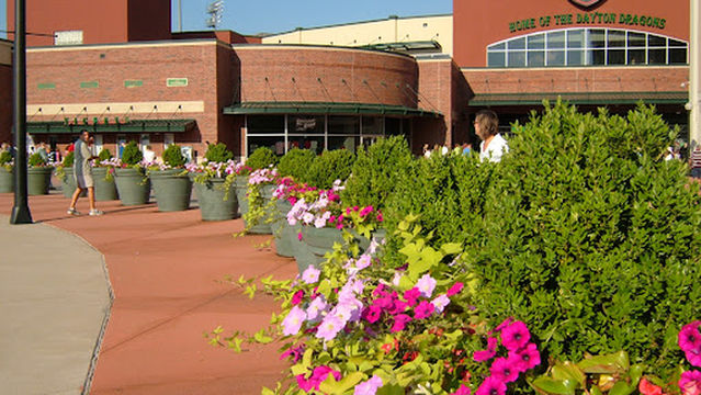 Dayton Dragons Professional Baseball Team