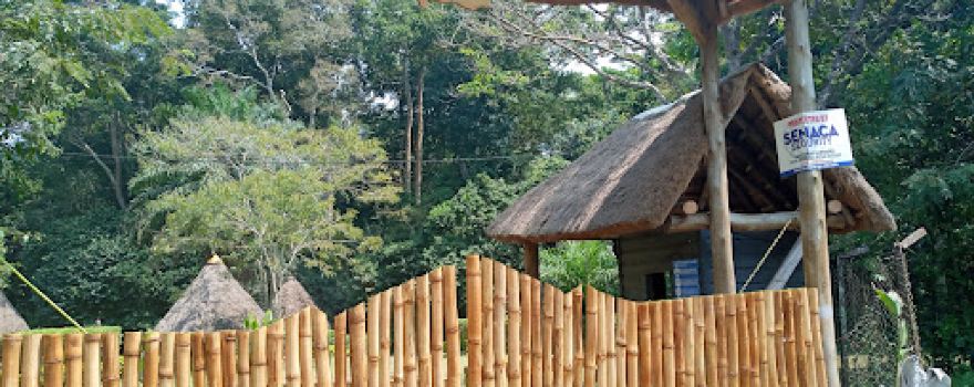 Mpanga Forest Camp, Mpigi l Global Afric Safaris