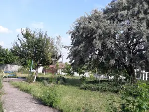 Parc Bistreț
