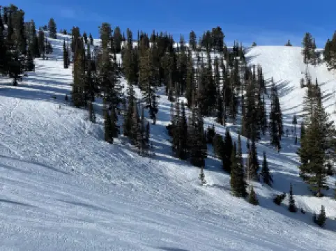 Powder Mountain