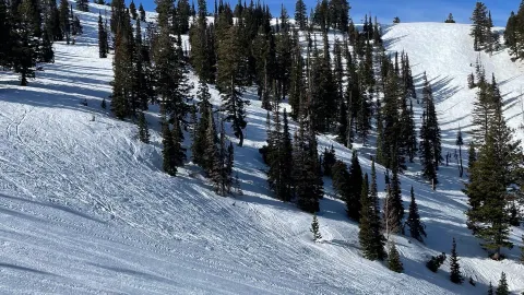 Powder Mountain attraction in Utah