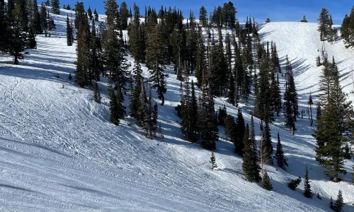 Powder Mountain