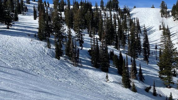 Powder Mountain