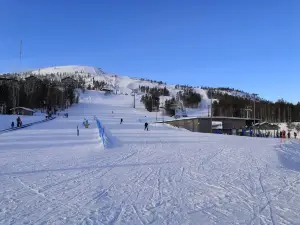 Ski Resort Pyhä