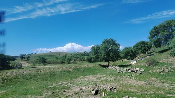 Yumuchuan (Nalan Xiaobao) Self-Driving Camping Site (Luanhe Village)