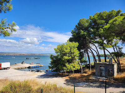 Parco Pineta Cimino