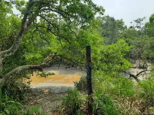 Karamjal Wildlife Breeding Center, Khulna