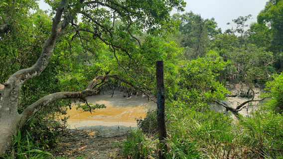Karamjal Wildlife Breeding Center, Khulna