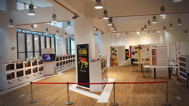 Leisure Center Poiana Brasov