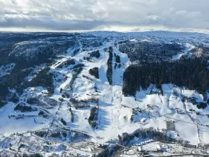 Ål Skisenter
