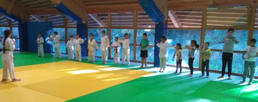 ARTS MARTIAUX KARATE WADO RYU ET KARATE DEFENSE SAINT GENEST LERPT