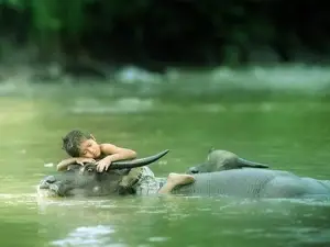 Minh Thuy Lam Son Ngoc Lac