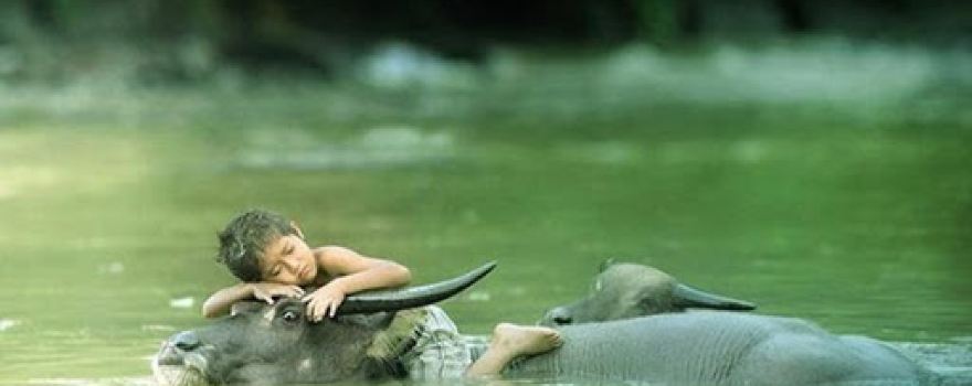 Minh Thuy Lam Son Ngoc Lac