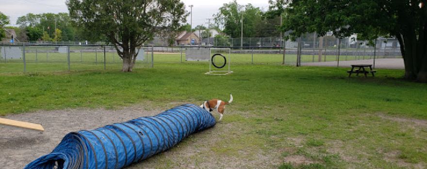 Marmora Dog Park