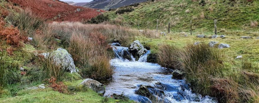 Y Berwyn National Nature Reserve