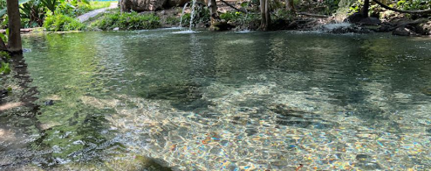 Poza Azul