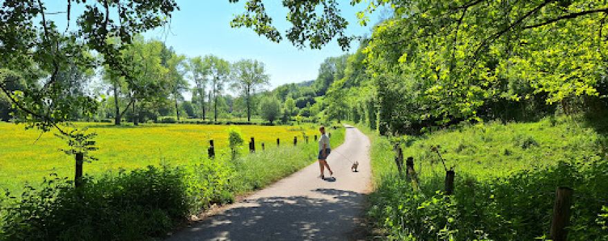 Camping De Gronselenput