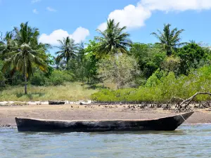 Funzi Island